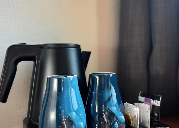 酒店 Logis Des Acacias Lille En Ferrain, Restaurant L'acacias Gourmand 诺伊维尔恩费莱恩